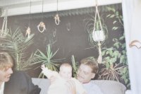 ein Bild aus dem Album